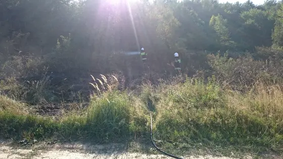 Pożar traw – 01.09.2015 — zdjęcie 17