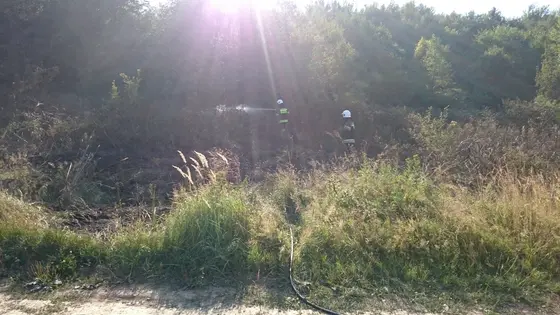 Pożar traw – 01.09.2015 — zdjęcie 18
