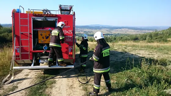 Pożar traw – 01.09.2015 — zdjęcie 21