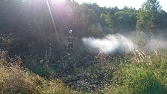 Pożar traw – 01.09.2015 — zdjęcie 23