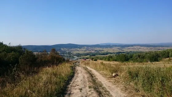 Pożar traw – 01.09.2015 — zdjęcie 24