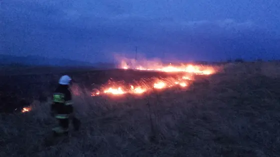 Pożar traw – 5.03.2016 — zdjęcie 14