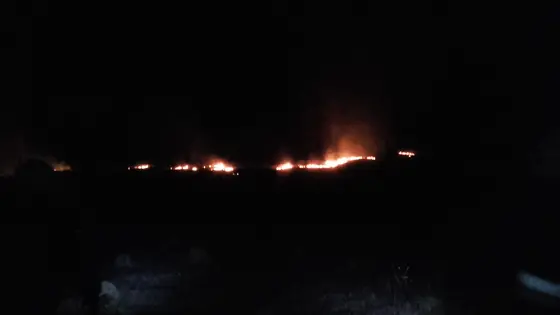 Pożar traw 25.03.2016 — zdjęcie 8