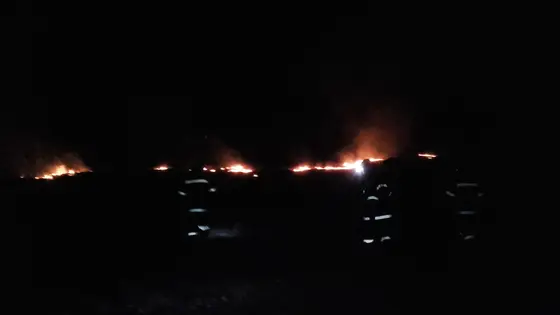 Pożar traw 25.03.2016 — zdjęcie 10