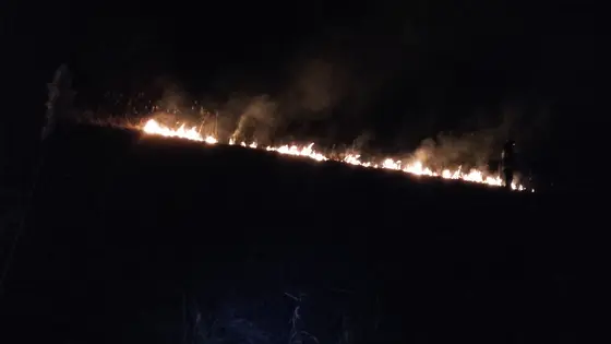 Pożar traw 25.03.2016 — zdjęcie 11