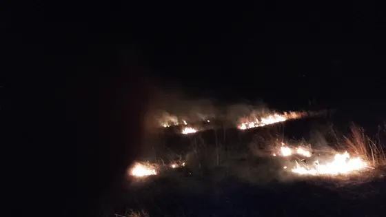 Pożar traw 25.03.2016 — zdjęcie 12