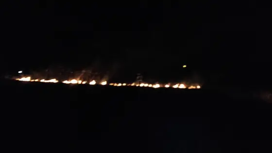 Pożar traw 25.03.2016 — zdjęcie 13