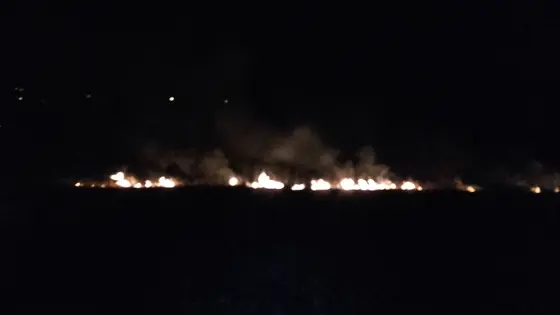 Pożar traw 25.03.2016 — zdjęcie 15