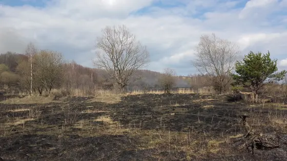 Kronika jednostki 2016 — cały rok — zdjęcie 964