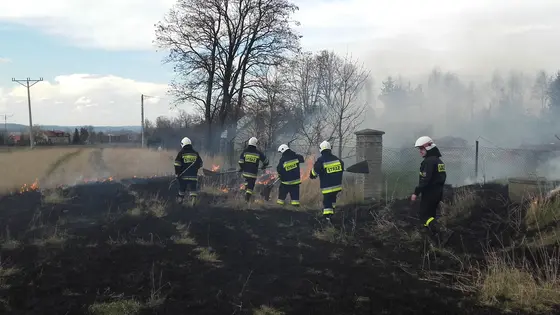 Kronika jednostki 2016 — cały rok — zdjęcie 874