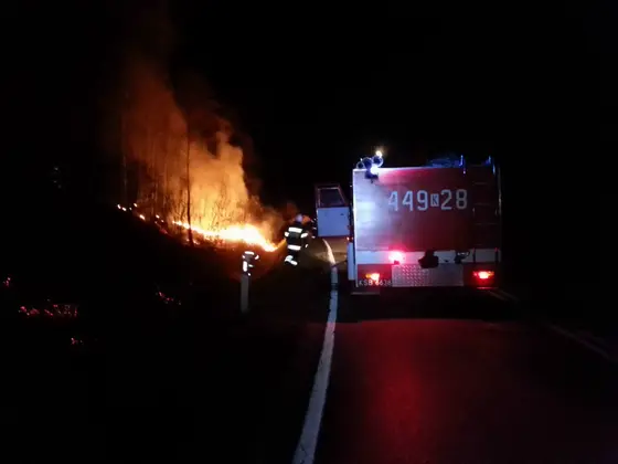 Pożar traw – 21.03.2014 — zdjęcie 3
