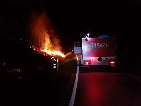 Pożar traw – 21.03.2014 — zdjęcie 4