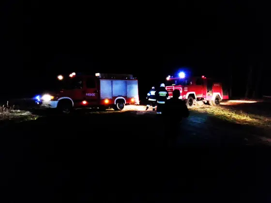Pożar traw – 21.03.2014 — zdjęcie 15