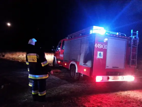 Pożar traw – 21.03.2014 — zdjęcie 19