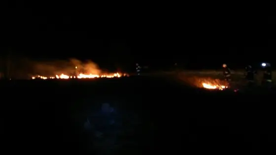 Kronika jednostki 2015 — cały rok — zdjęcie 2126