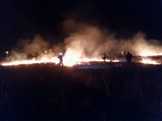 Pożar traw – 22.03.2014 — zdjęcie 7
