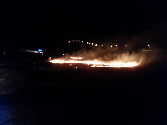 Pożar traw – 22.03.2014 — zdjęcie 20