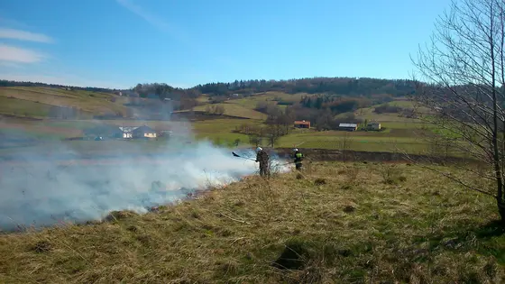 Pożar traw – 22.03.2014 — zdjęcie 21