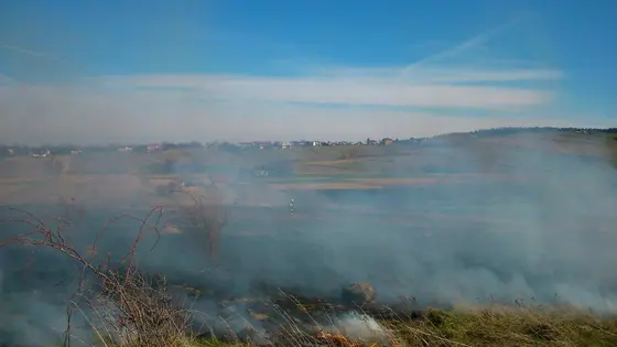 Pożar traw – 22.03.2014 — zdjęcie 22