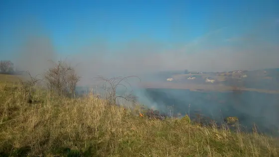Pożar traw – 22.03.2014 — zdjęcie 34