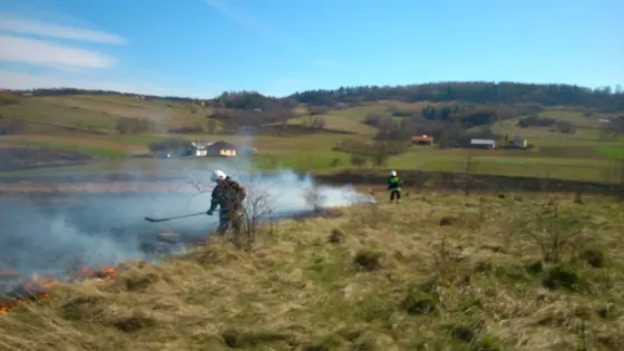 Pożar traw – 22.03.2014 — zdjęcie 35