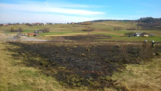 Pożar traw – 22.03.2014 — zdjęcie 36