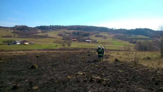 Pożar traw – 22.03.2014 — zdjęcie 37