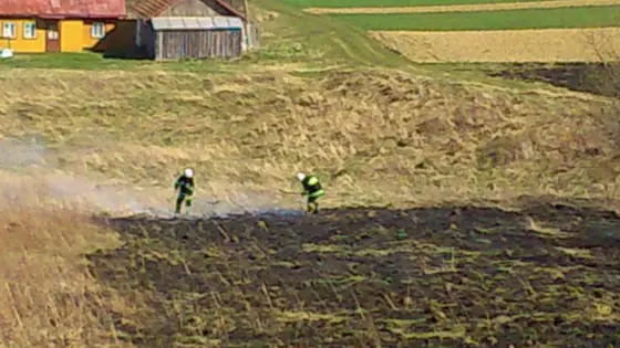 Pożar traw – 22.03.2014 — zdjęcie 39