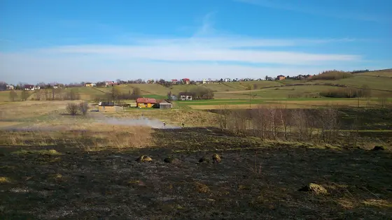 Pożar traw – 22.03.2014 — zdjęcie 40