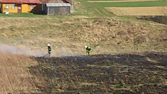 Pożar traw – 22.03.2014 — zdjęcie 41