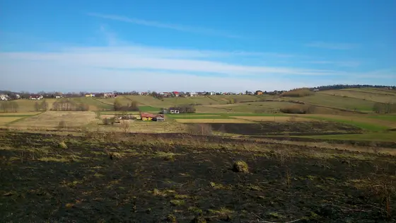 Pożar traw – 22.03.2014 — zdjęcie 43