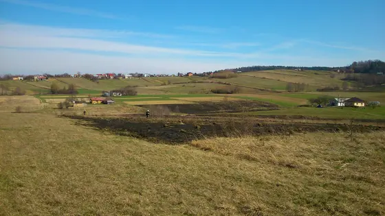 Pożar traw – 22.03.2014 — zdjęcie 44