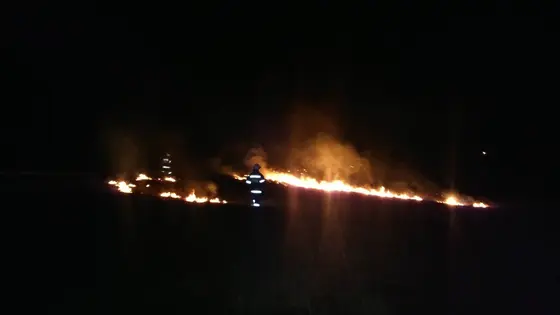 Pożar traw – 22.03.2014 — zdjęcie 48