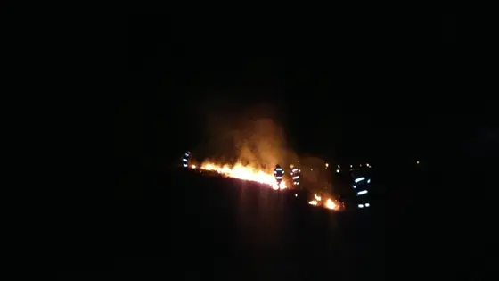 Pożar traw – 22.03.2014 — zdjęcie 50