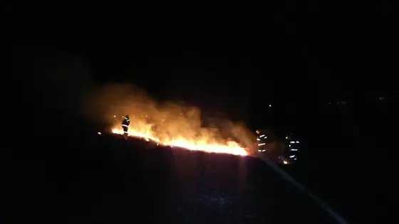 Pożar traw – 22.03.2014 — zdjęcie 52
