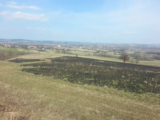 Pożar traw – 23.03.2014