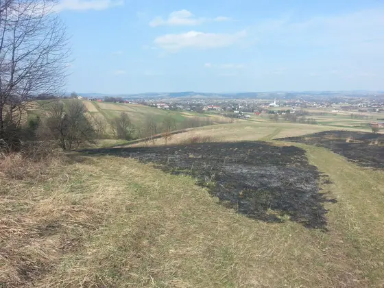 Kronika jednostki 2014 — cały rok — zdjęcie 1421