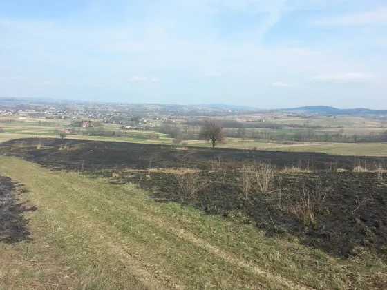 Kronika jednostki 2014 — cały rok — zdjęcie 1422