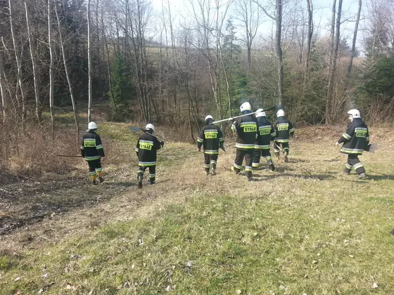 Kronika jednostki 2014 — cały rok — zdjęcie 1425