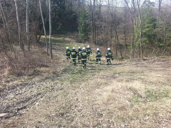 Kronika jednostki 2014 — cały rok — zdjęcie 1427