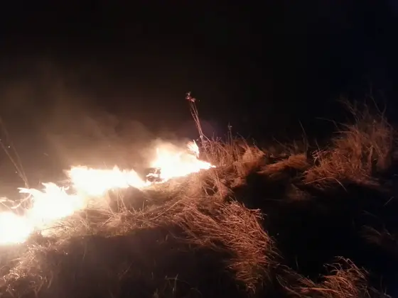 Kronika jednostki 2015 — cały rok — zdjęcie 2132