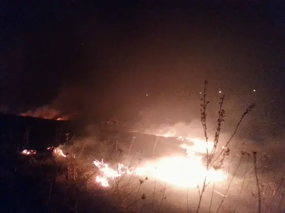 Kronika jednostki 2015 — cały rok — zdjęcie 2134