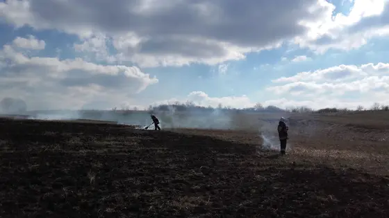 Pożar traw – 24.03.2016. — zdjęcie 12