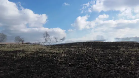 Pożar traw – 24.03.2016. — zdjęcie 14