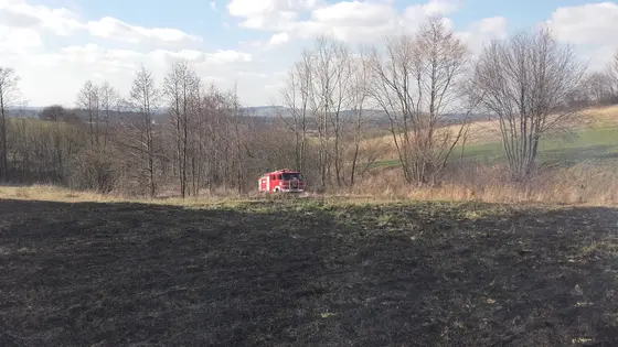 Pożar traw – 24.03.2016. — zdjęcie 16