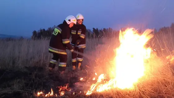 Pożar traw – 24.03.2016. — zdjęcie 10