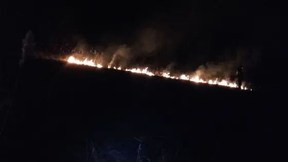 Pożar traw 25.03.2016