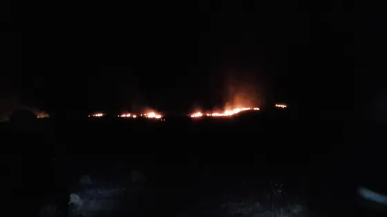 Pożar traw 25.03.2016 — zdjęcie 3