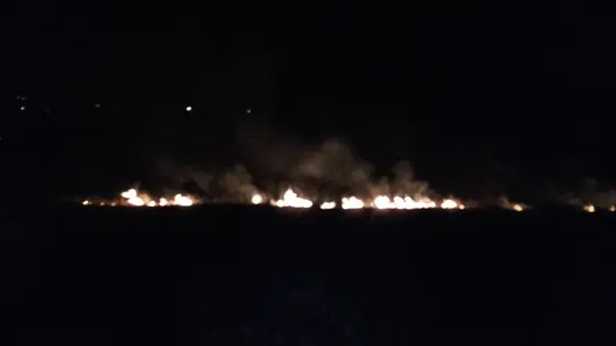 Pożar traw 25.03.2016 — zdjęcie 7