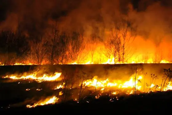 Pożar traw – 26.03.2015